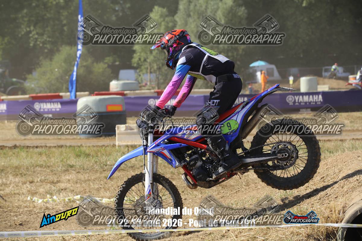 1291669